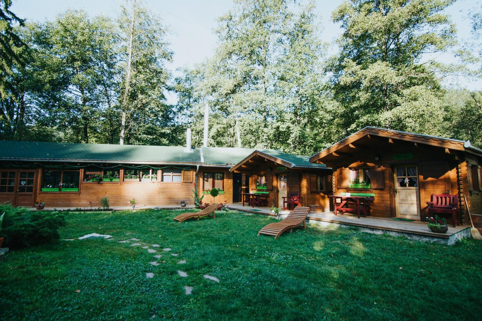 Vidra Park Hotel Sicasau Exterior photo