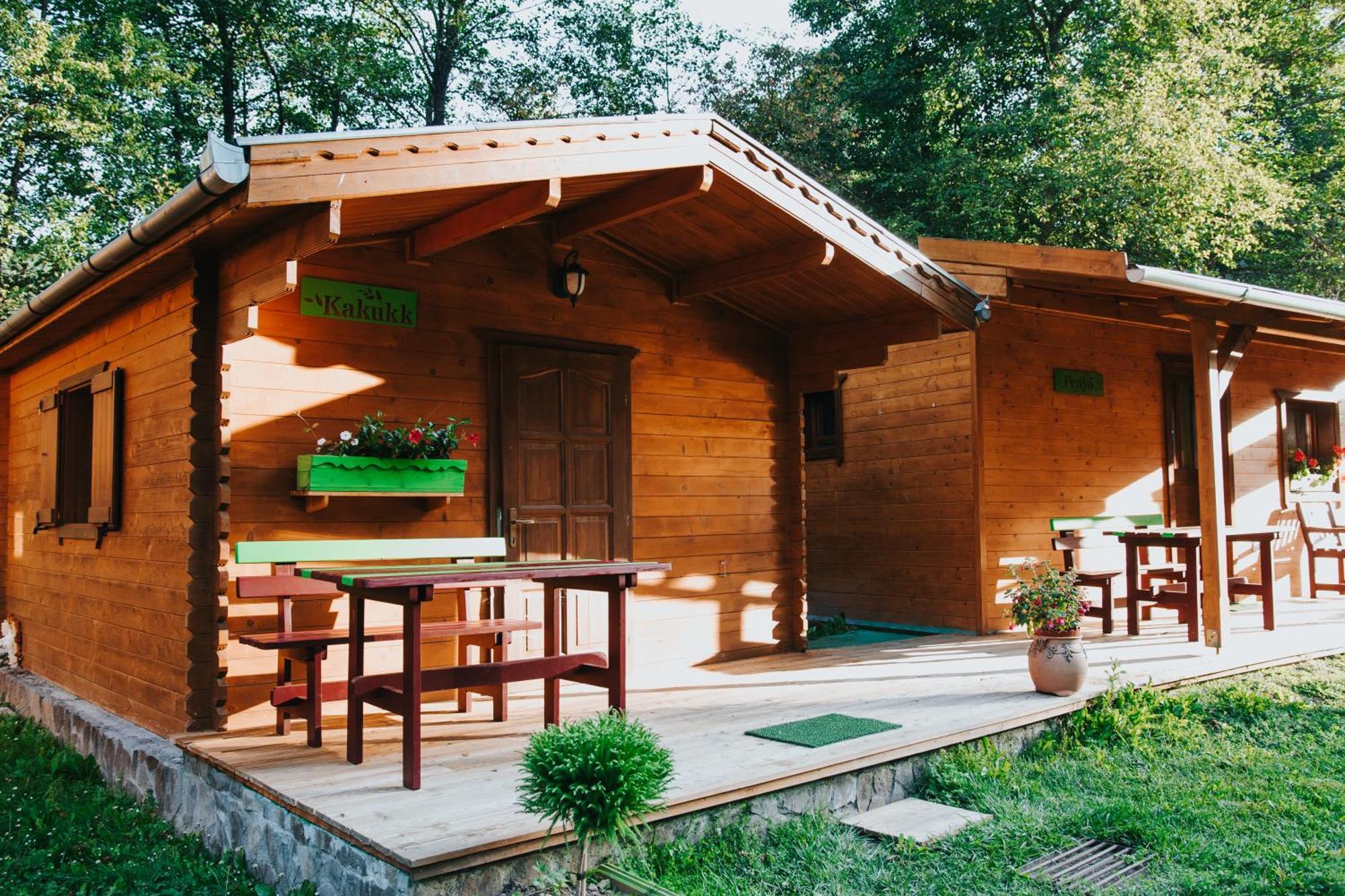 Vidra Park Hotel Sicasau Exterior photo